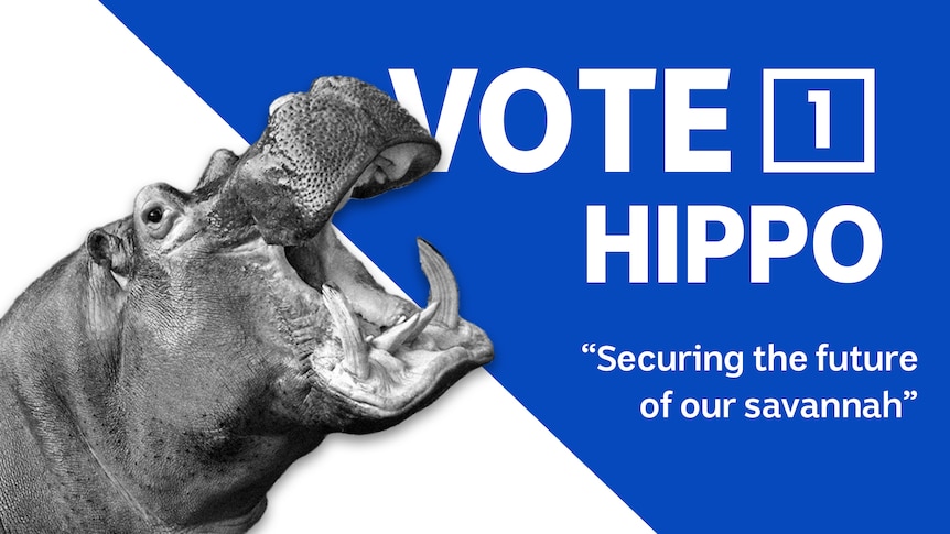 Hare-Clark Vote 1 Hippo graphic