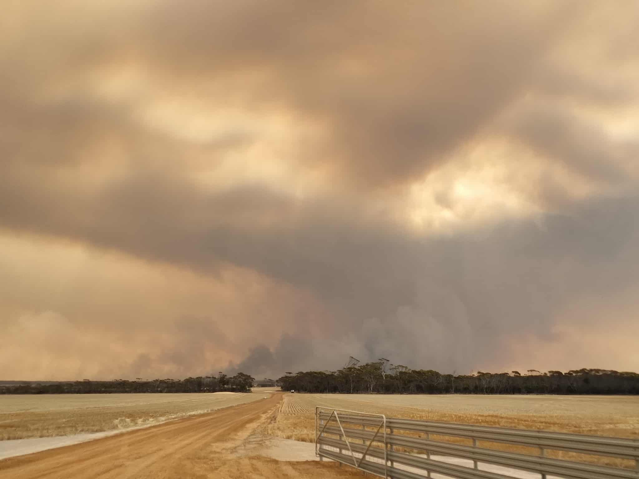 Visto desde una masa de agua, el humo se eleva desde el matorral.