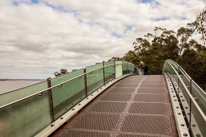 Kings Park tree-top walkway