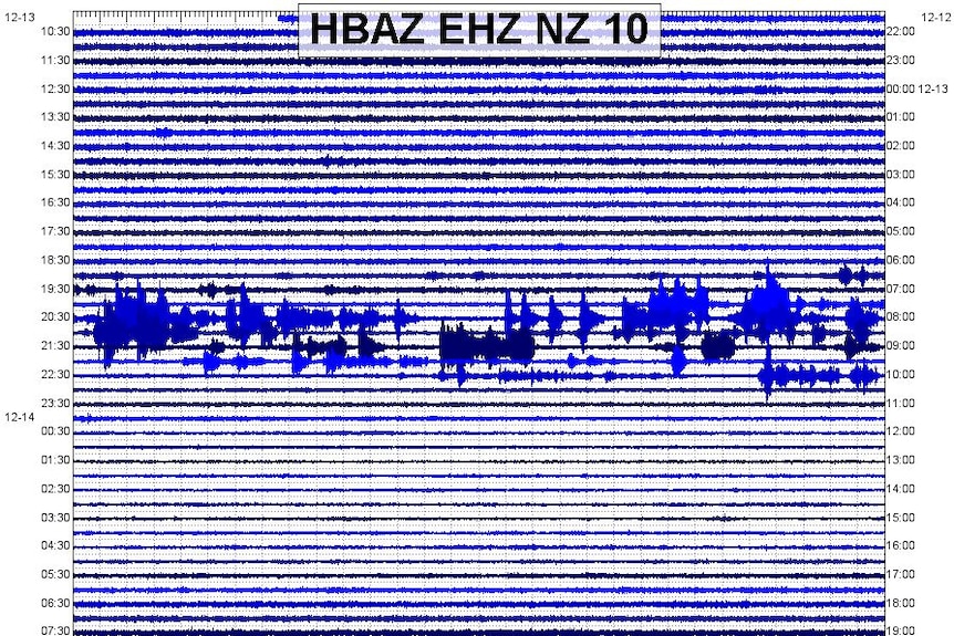 A graph with spikes showing seismic activity during a 2011 Foo Fighter's concert in Auckland.