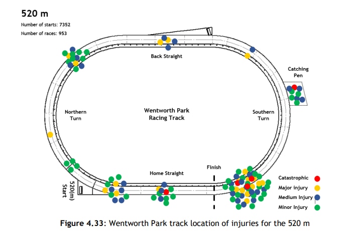 A map of injuries at a greyhound track with different coloured dots to mark each injury. A majority of the deaths occur at bends