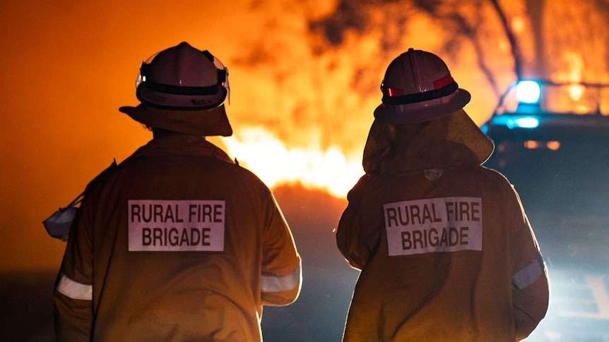 Two Rural Fire Brigade firefighters stand in front of blaze at Pechey.