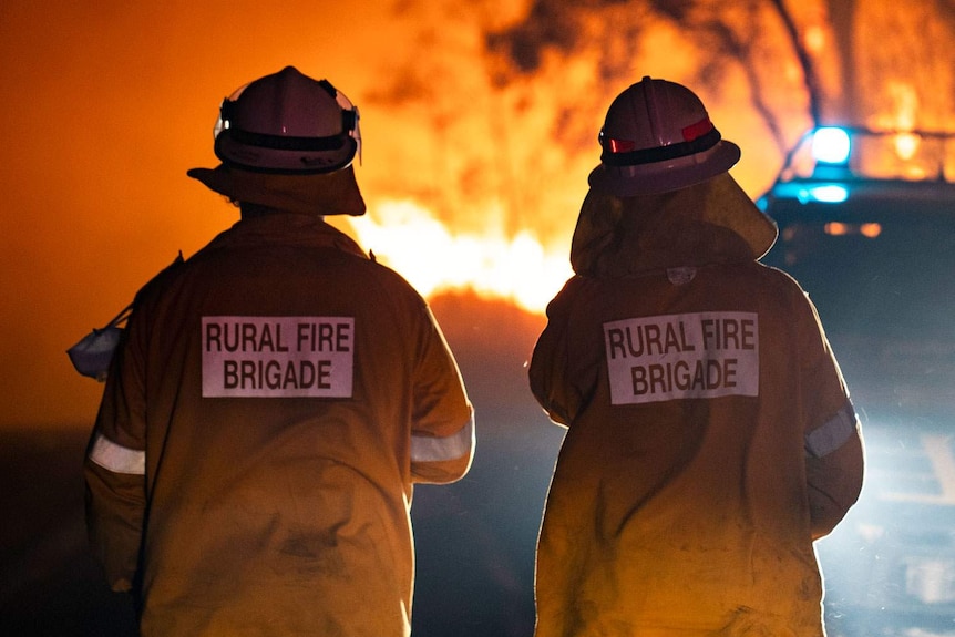 Two Rural Fire Brigade firefighters stand in front of blaze at Pechey.