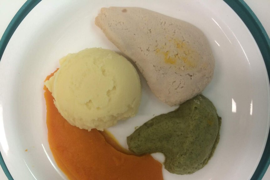 Puree Food Molds - St Vincents Hospital Experience 