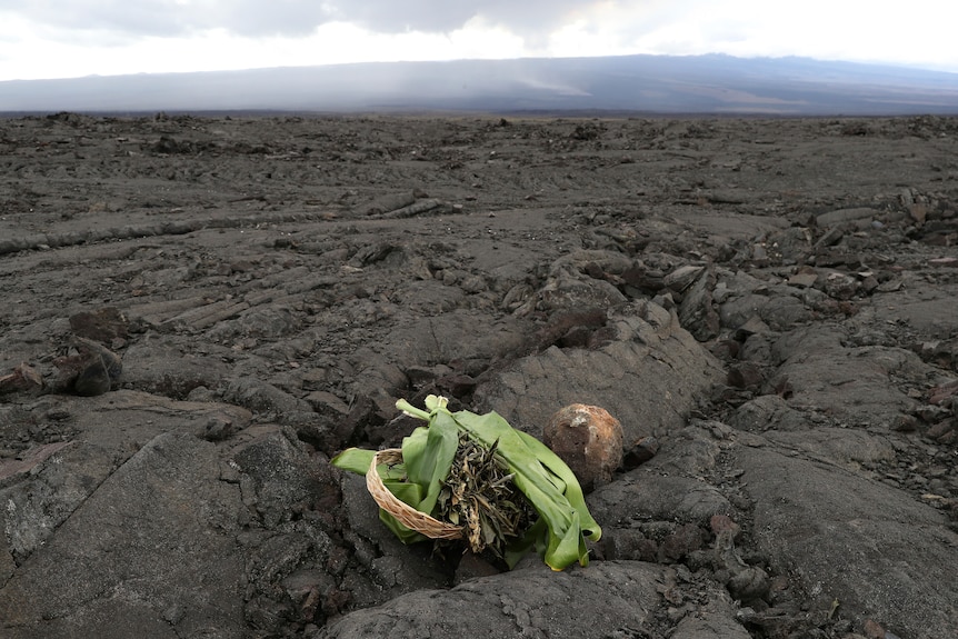 A bundle of green laves wrapped in a wreath sits atop a dark volcanic surface