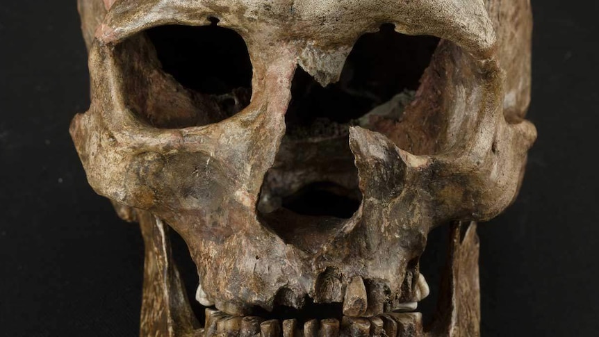 Skull of ancient European found in Czech Republic