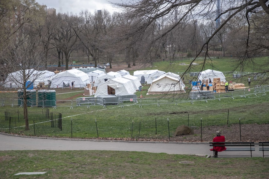 A number of white tents stand on grass surrounded by trees as a lady watches on from afar.