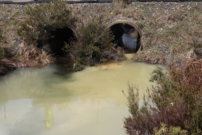A polluted creek in a national park.