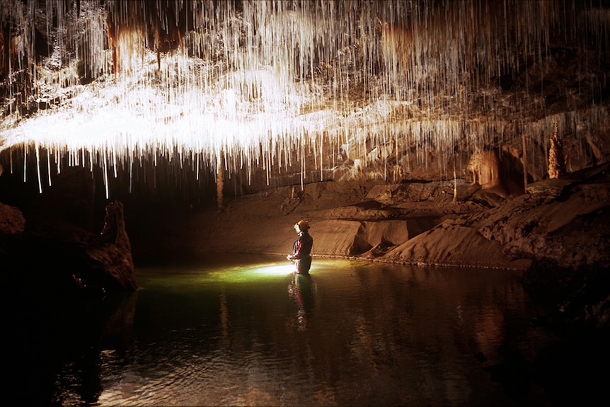 A man stands in water Inside Junee Cave, Tasmania