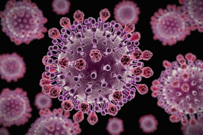 H1N1  Influenza Virus Particles