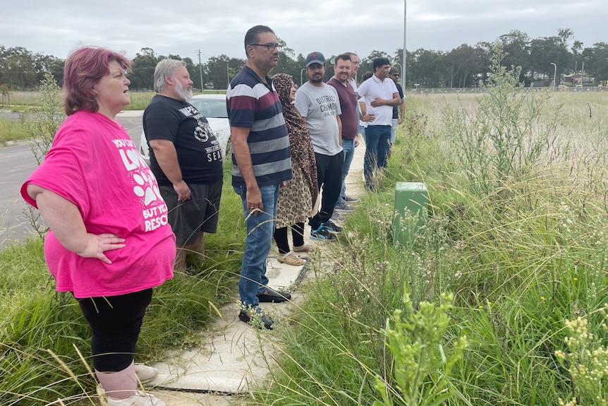 A group of people look into a field