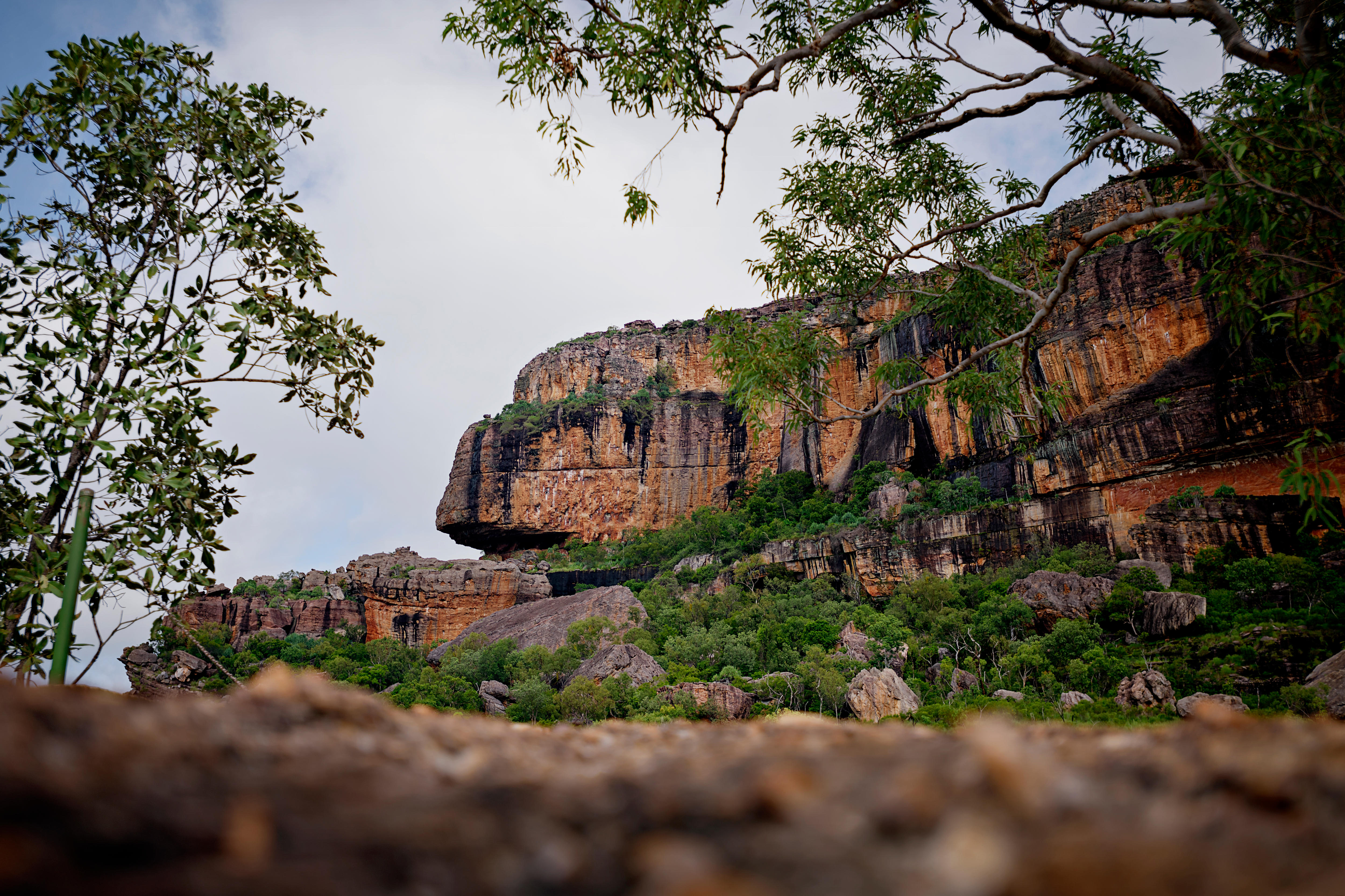 Burrungkuy (Nourlangie) viewed from the Kunwarddewardde lookout in Kakadu National Park.