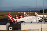 Five planes lined up side by side at Hobart International Airport.