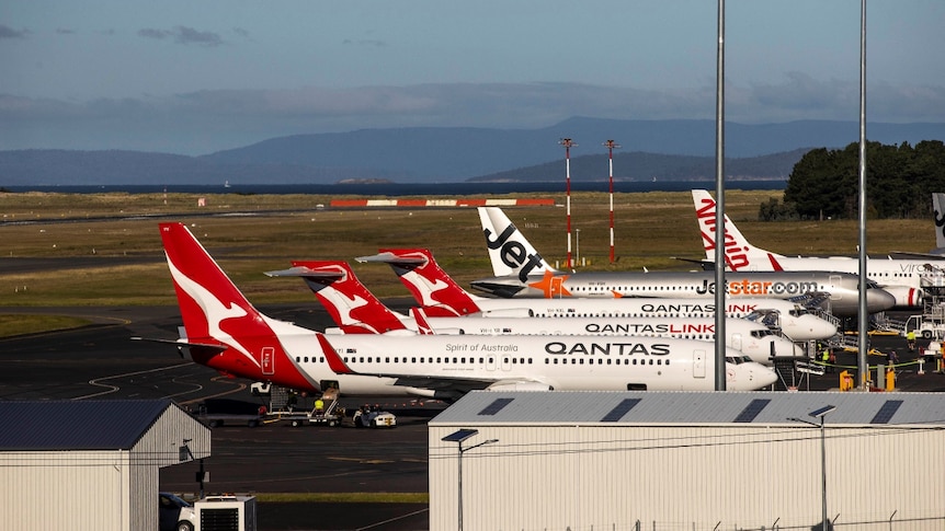 Five planes lined up side by side at Hobart International Airport.