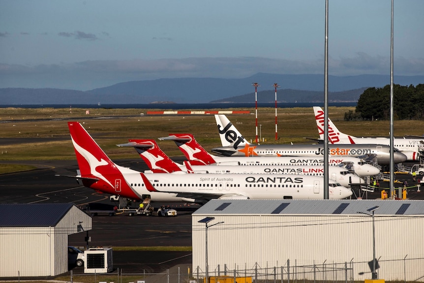 Five planes lined up side by side at Hobart International Airport.