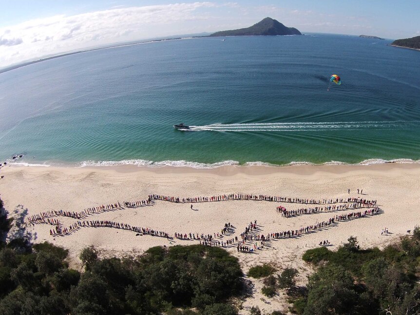 Human whale formation at Port Stephens