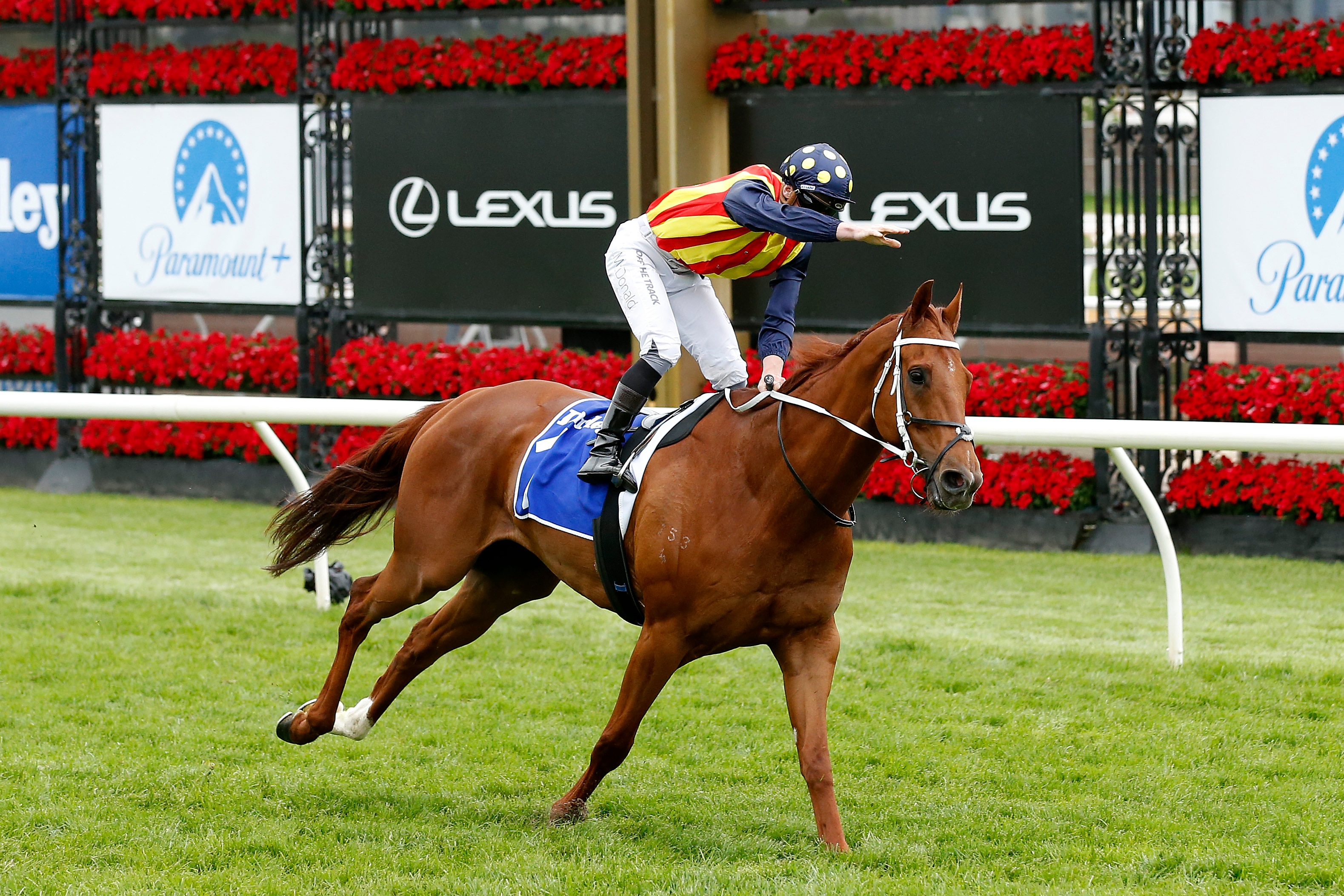 Nature Strip Wins The 2 Million Vrc Sprint Classic At Flemington On Final Day Of The Melbourne Cup Carnival Abc News