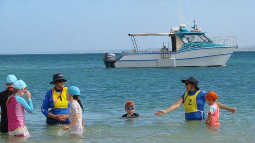 Swimmers at Geraldton's town beach