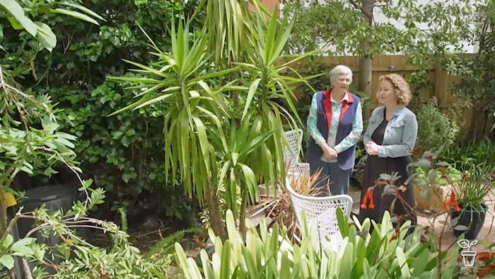 Two women standing in a garden looking at plants