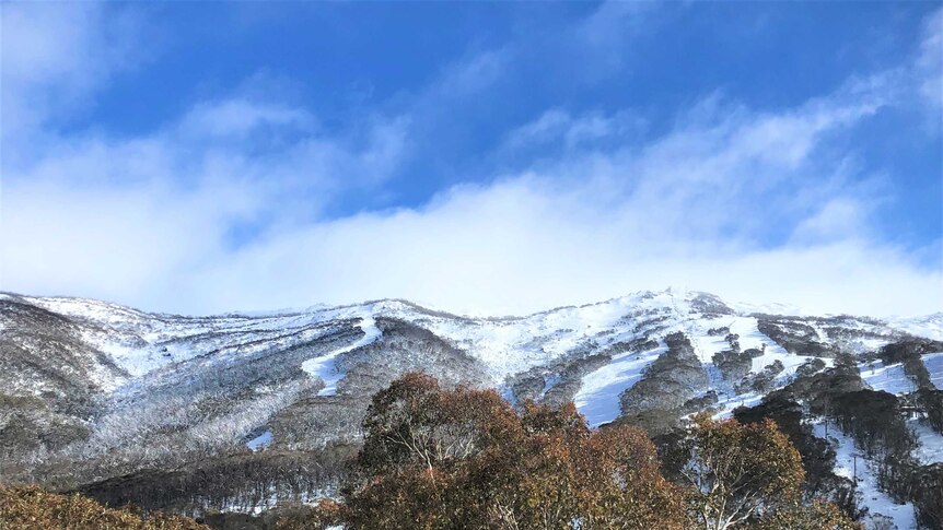 Thredbo Mountain