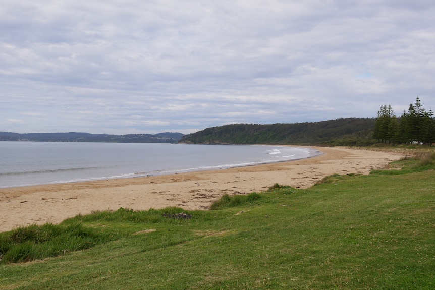 A sandy beach, with a grassy foreshore, cloudy sky.