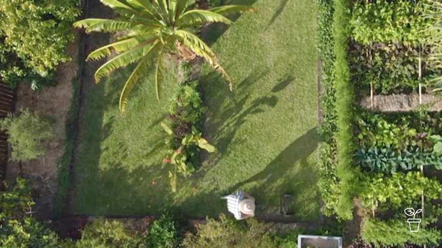 Aerial photo of man mowing lawn with push-reel mower