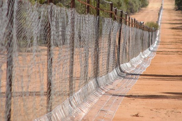 A netting wild dog fence with a skirt on the ground.
