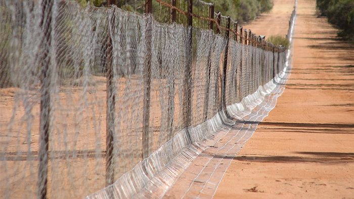 A netting wild dog fence with a skirt on the ground.