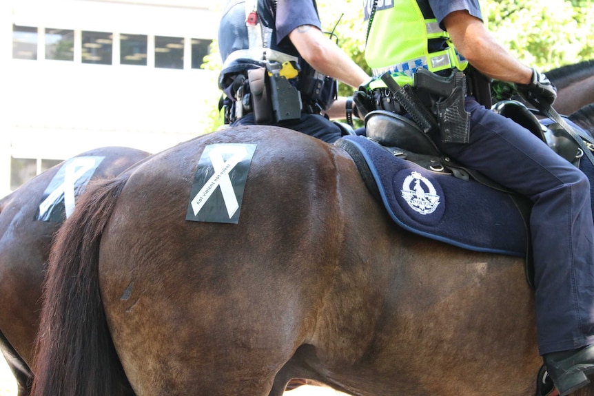 Police horses and their riders participate in White Ribbon Day in Darwin.