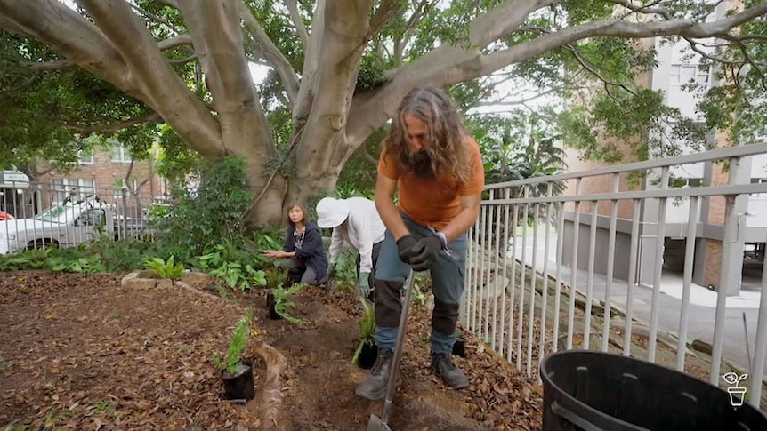 Costa digging a hole in a garden in front of a large tree.