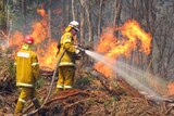 Tasmanian Fire Service crews battle a bushfire at Wayatinah