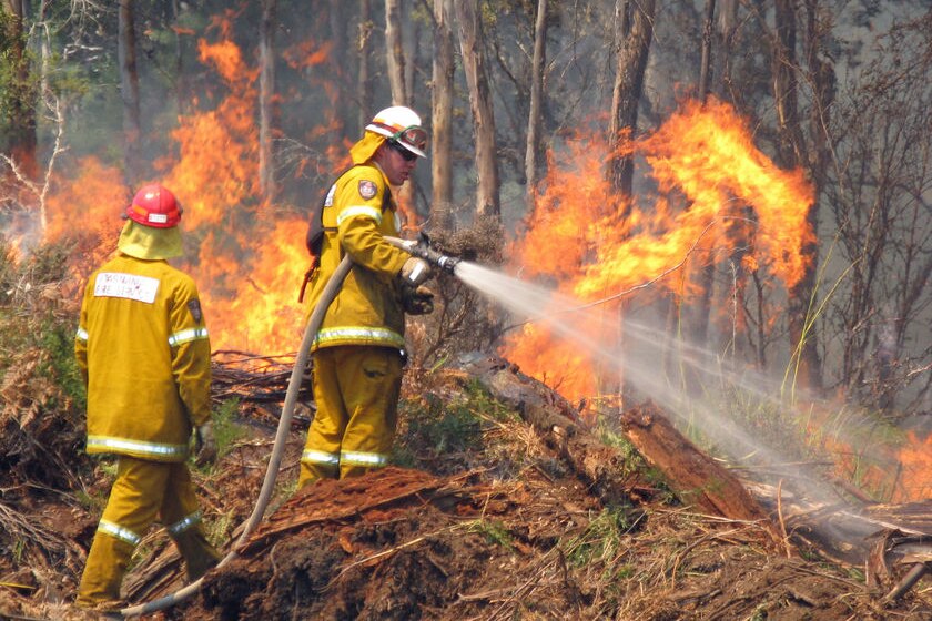Tasmanian Fire Service crews battle a bushfire at Wayatinah