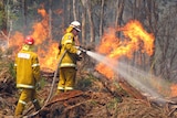 Tasmanian Fire Service crews battle a bushfire