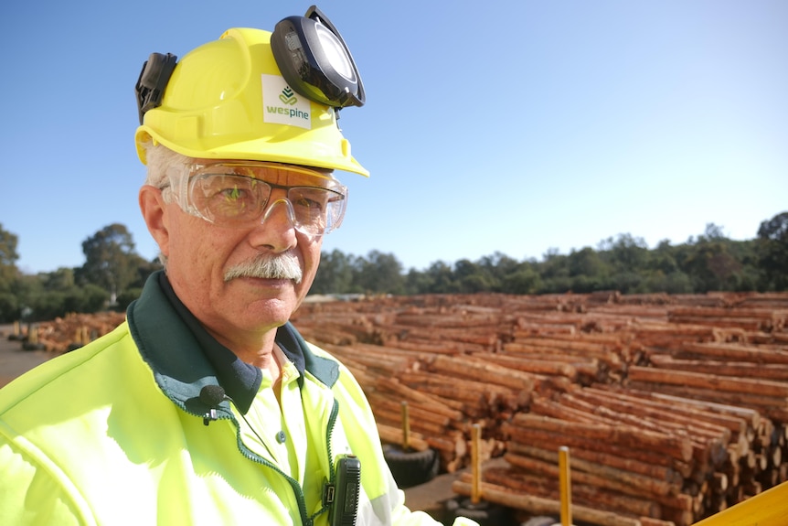 Un hombre con un casco mira hacia un patio de troncos de madera