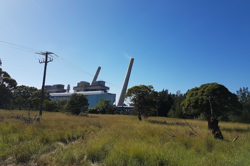 Munmorah power station chimney stacks fall