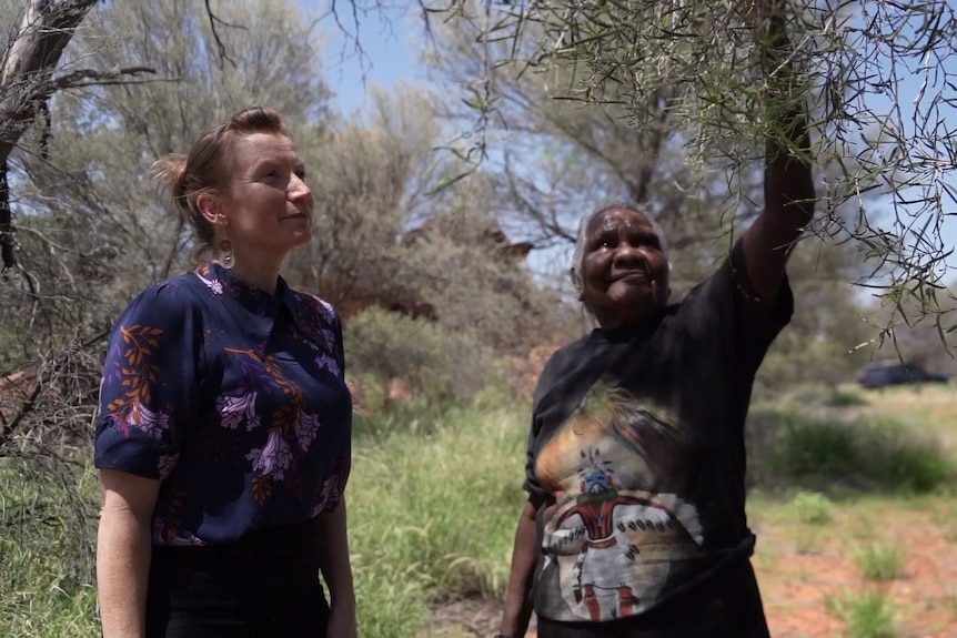 An older Aboriginal woman points up to leaves on a tree as a younger woman watches on.