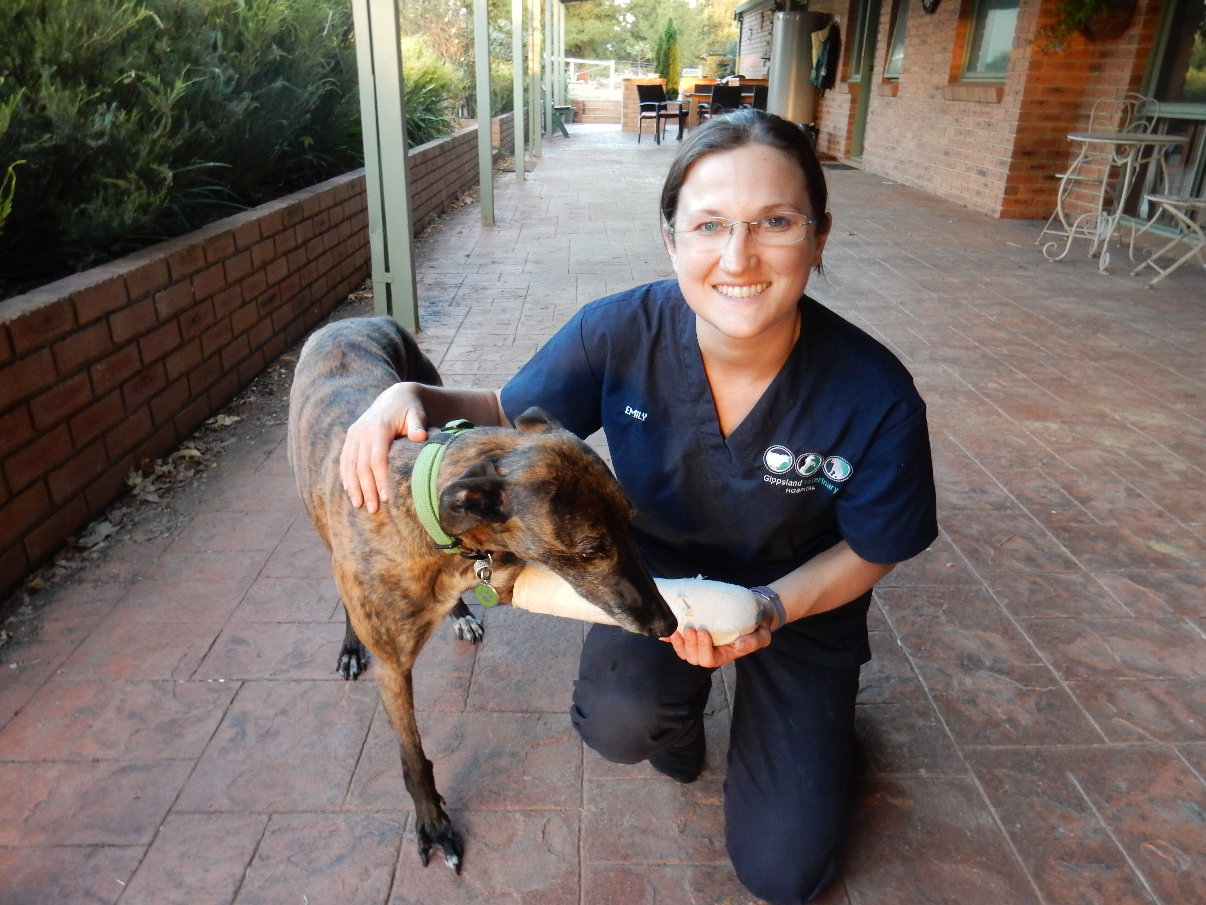 Dogs may benefit from being present when canine companions are put down