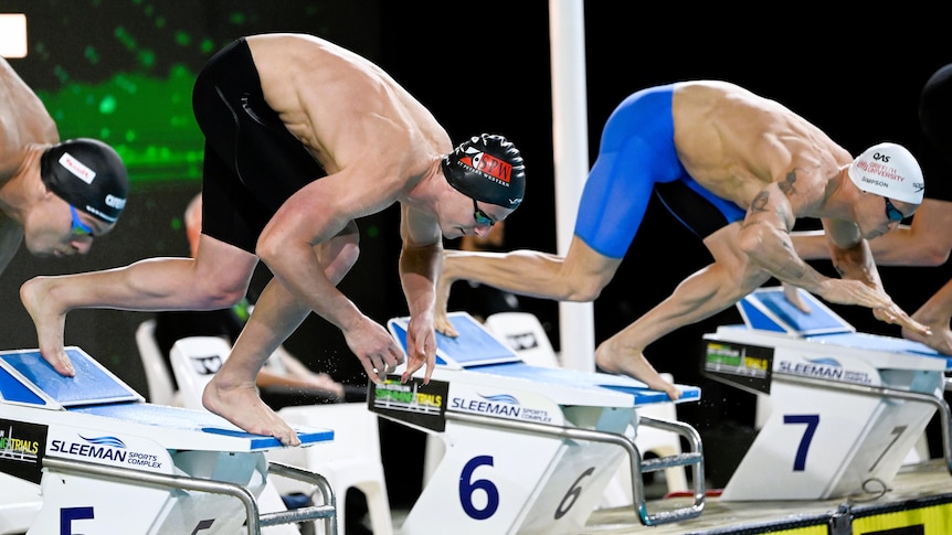 Three male swimmers dive off swimming blocks into a competition pool.