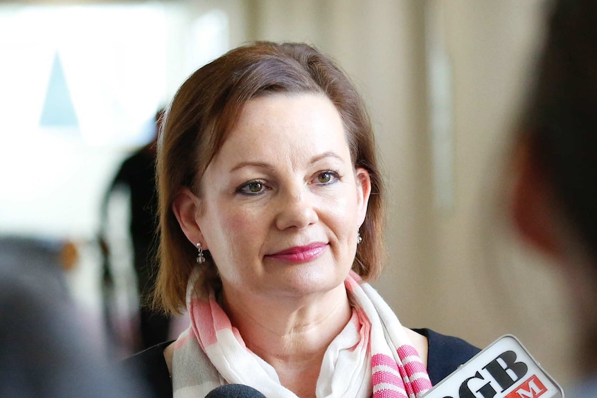 Federal MP Sussan Ley