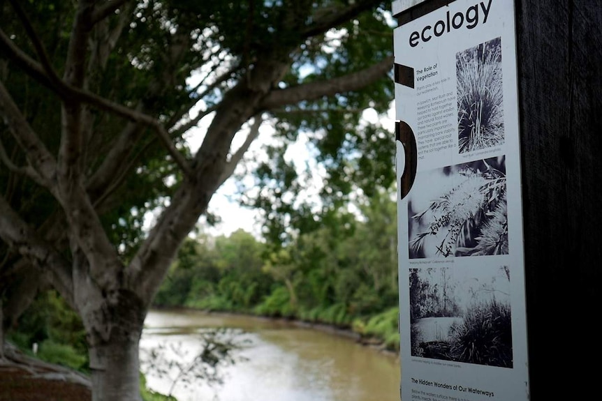 A sign titled "ecology" talks about the role of vegetation.