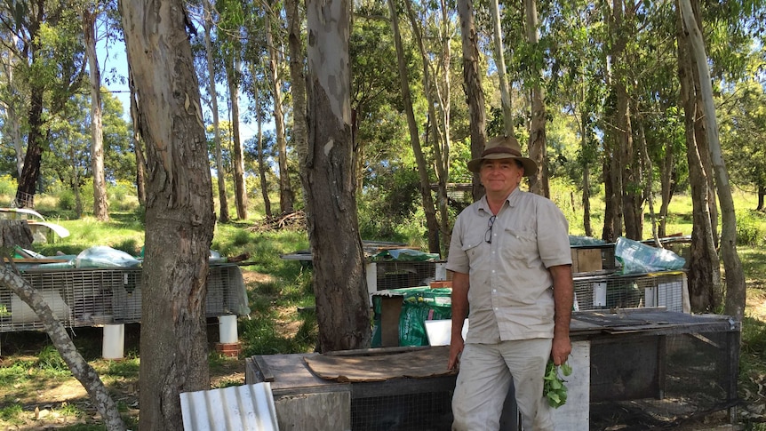 Geoffrey Grigg standing in front of rabbits in Verona