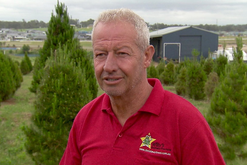 Photo of a man in front of Christmas trees.