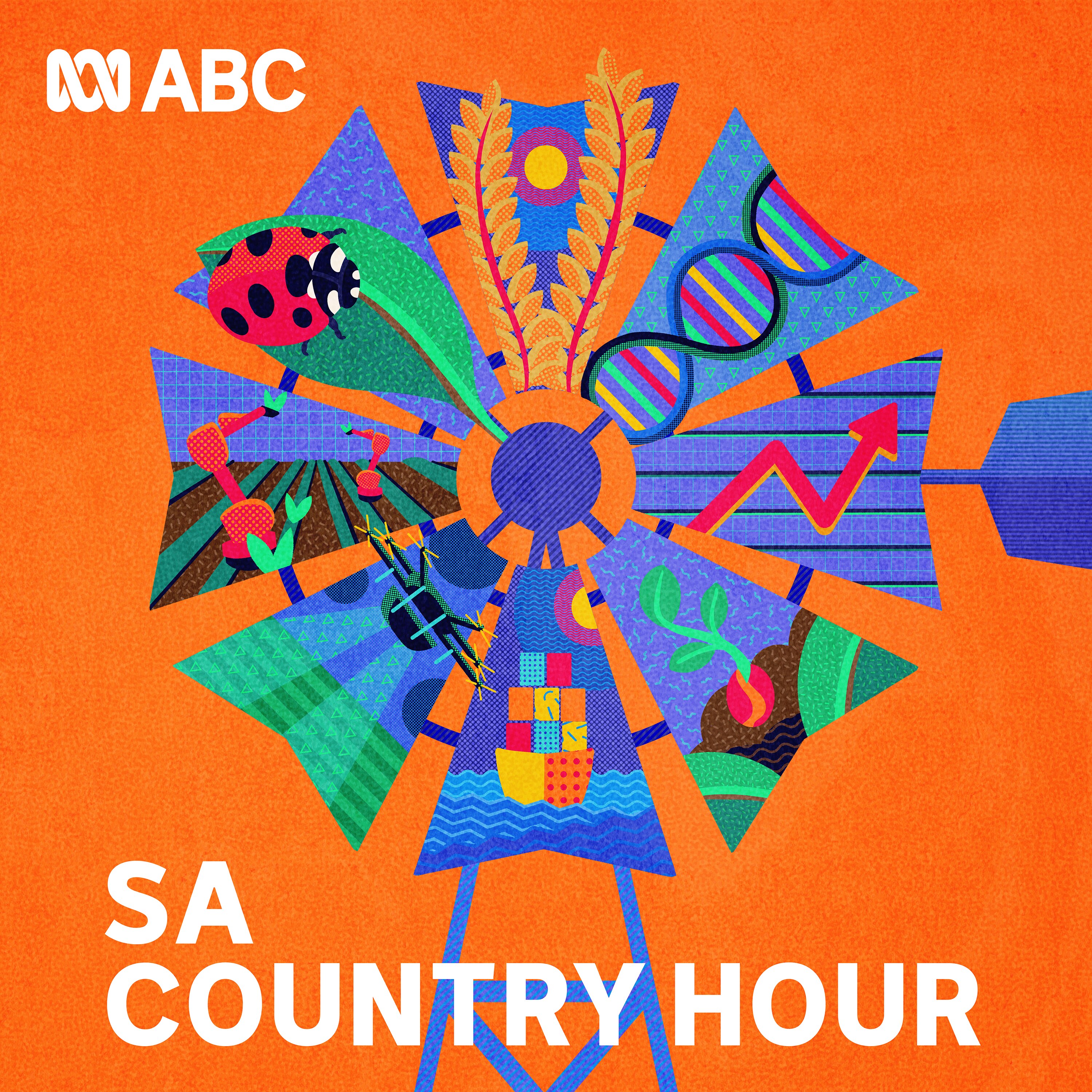 South Australian Country Hour