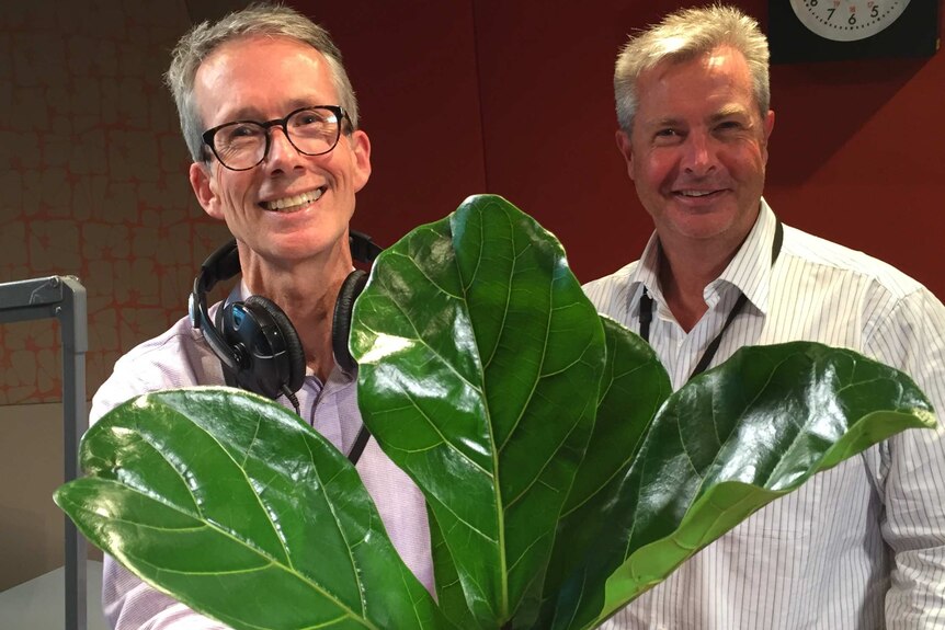 Tim and Jim with mystery plant number 4