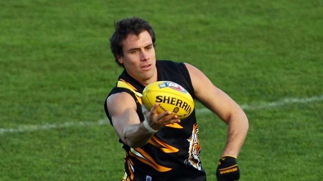 Big five... Matthew Richardson kicked the Tigers to victory (File photo).