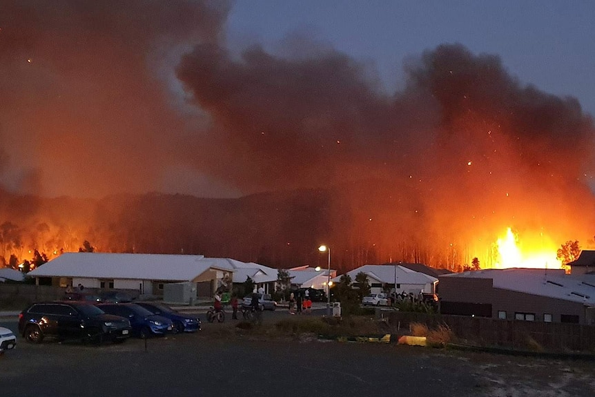 A bushfire burning close to homes at Peregian Springs was fanned by strong winds.