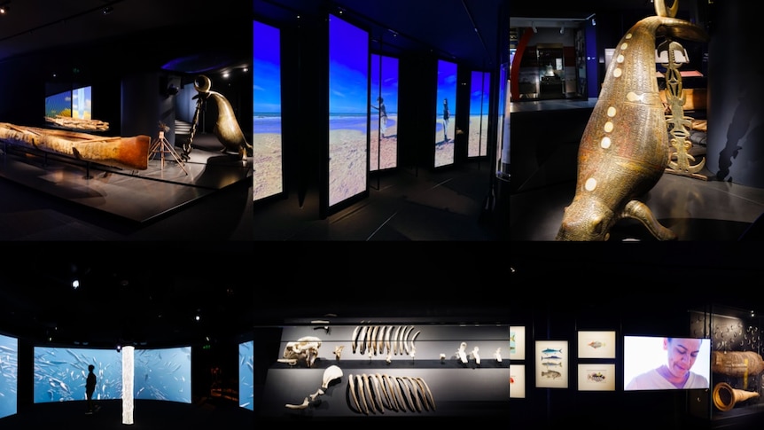 A collage of images from the exhibition Shaped by Sea, stories of Deep Time Australia at the National Maritime Museum in Sydney 