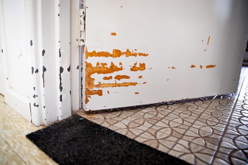 The bottom part of an internal house door showing orange scuff marks and chipped paint on the frame.