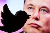 A close-up photo of a 3D-printed version of Twitter's bird silhouette logo, with Elon Musk's face in the background.