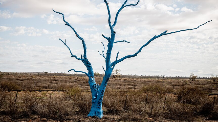 Dead tree painted blue with R U OK painted on the side